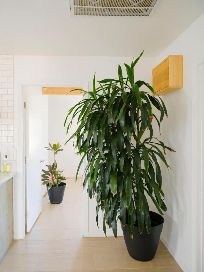 The Zen - Outdoor Shower, Gas Fireplace, Walkable To Shops & Restaurants ジョシュア・ツリー エクステリア 写真
